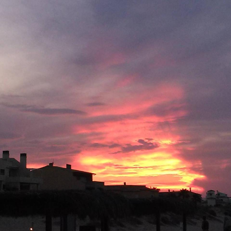 11219686_1036885469656563_5923878664759075350_n