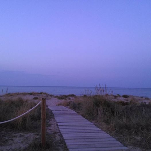 11796235_1041546305857146_4207905167207051463_n