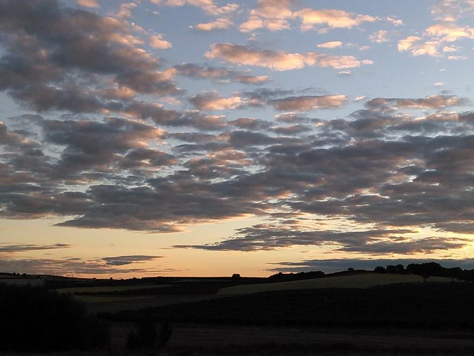 11898692_1055784951099948_5679523897203761930_n