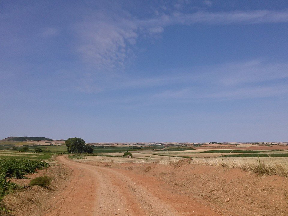 11907172_1055784981099945_599817650900448245_n