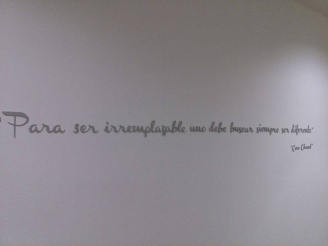 13460849_1226280467383728_972279720_o